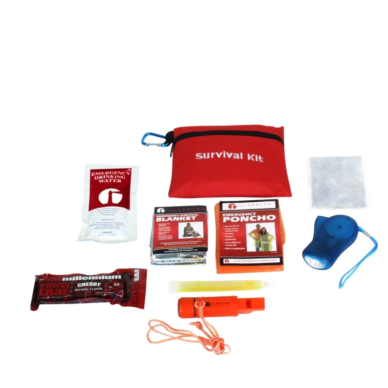 Children's Mini Emergency Kit
