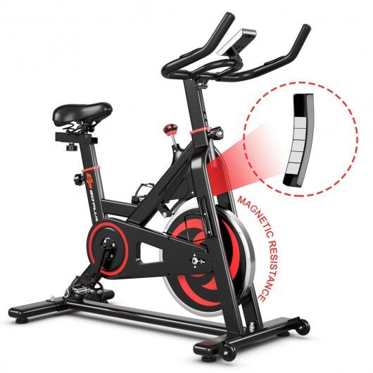 30 lbs Family Fitness Aerobic Exercise Magnetic Bicycle